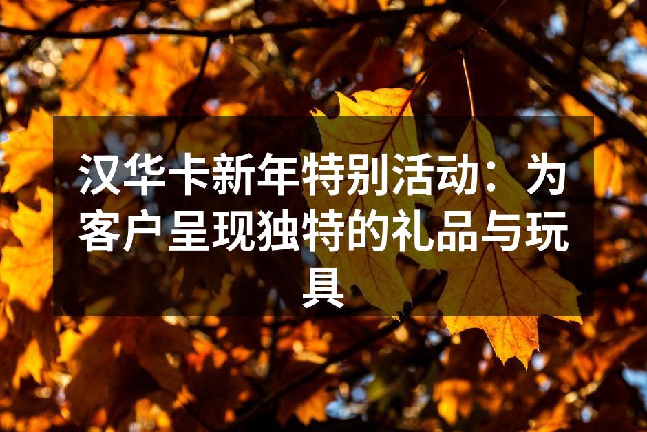 汉华卡新款旅行箱包